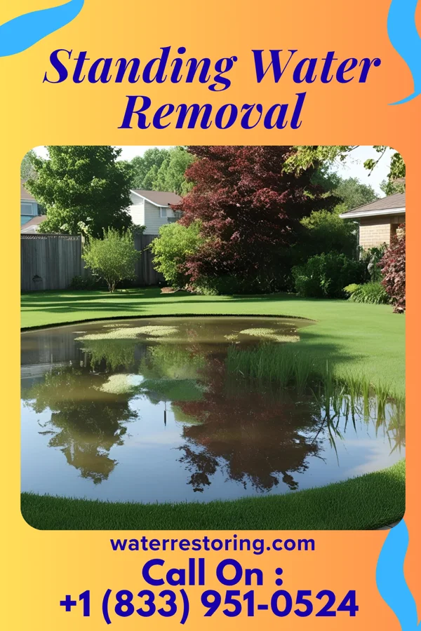 Standing Water Removal in Lockbourne, OH